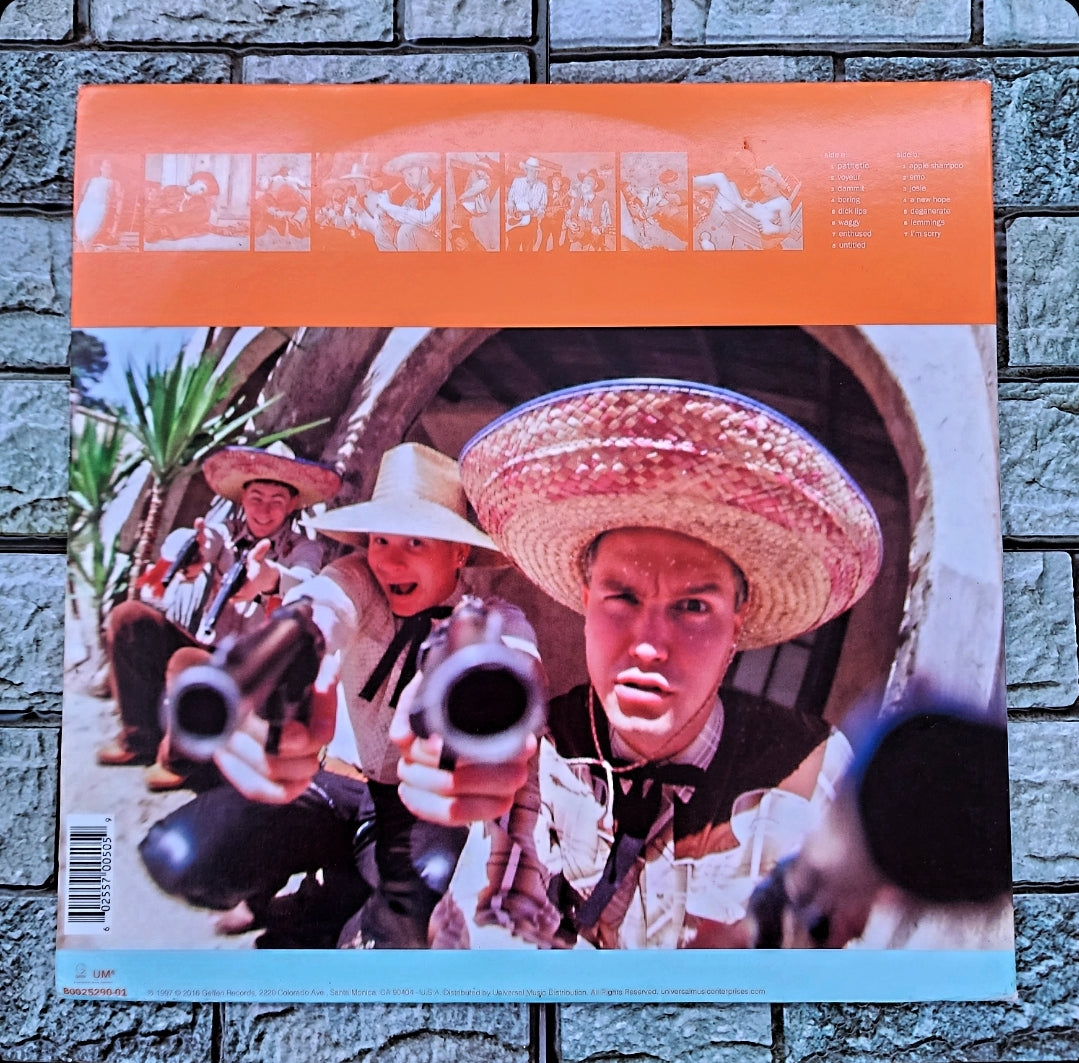 Blink 182 - Dude Ranch (Black Vinyl)(Usado)